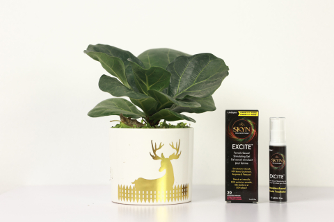 Gel Tăng Khoái Cảm Cho Phụ Nữ Lifestyles Excite ( Chai 15ml )