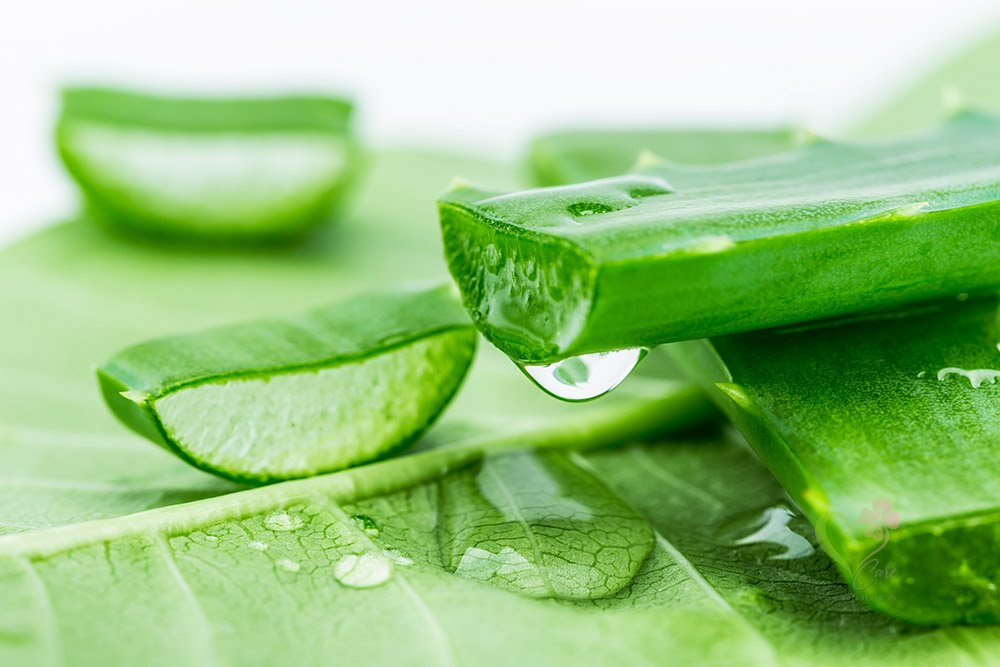 Gel se khít vùng kín tại Đà Nẵng, Gel se khít vùng kín, Gel se khít tại Đà Nẵng, Gel se khít, Gel khít vùng kín tại Đà Nẵng, Gel khít vùng kín, se khít vùng kín tại Đà Nẵng,  se khít vùng kín, Gel làm hồng và se khít vùng kín tại Đà Nẵng, Gel làm hồng và se khít vùng kín, Gel làm hồng và khít vùng kín tại Đà Nẵng, Gel làm hồng và khít vùng kín, các loại Gel se khít vùng kín tại Đà Nẵng, các loại Gel se khít vùng kín